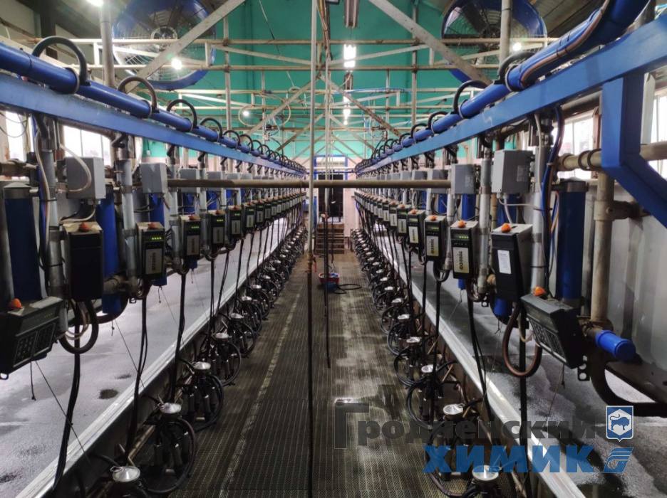 МТФ Лаздуны.jpg